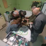 Reintroducida en el medio natural la osezna Alba, tras su adaptación los últimos tres meses en el recinto de aclimatación de osos pardos de la Junta de Castilla y León en Valsemana, León