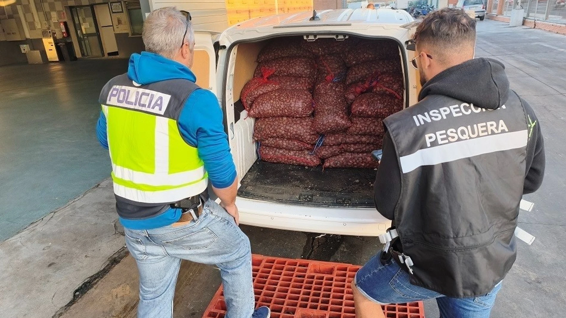 La mercancía decomisada no tenía ningún tipo de etiquetado en el que se indicara su procedencia.REMITIDA / HANDOUT por JUNTA DE ANDALUCIAFotografía remitida a medios de comunicación exclusivamente para ilustrar la noticia a la que hace referencia la imagen, y citando la procedencia de la imagen en la firma25/10/2025