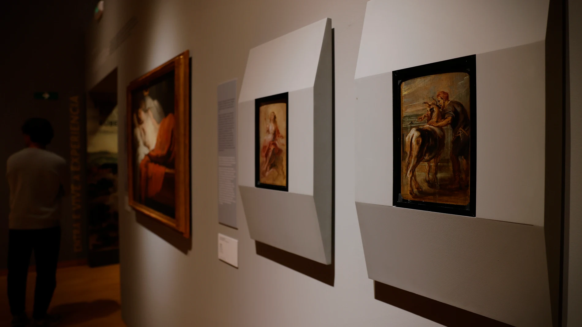 A CORUÑA, 26/10/25.- Un hombre camina junto a los dos óleos sobre tabla de Rubens robados hace ahora 40 años del museo de Belas Artes de A Coruña. El reciente asalto al Museo del Louvre en París ha puesto en el foco la vulnerabilidad de las grandes colecciones de arte y obliga a repasar casos como el robo de estas dos obras y su posterior recuperación tras una compleja operación internacional. EFE/Cabalar