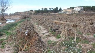 Econom&iacute;a.- La Uni&oacute; cifra la p&eacute;rdida de capacidad productiva en los cultivos por la Dana por valor de 103 millones