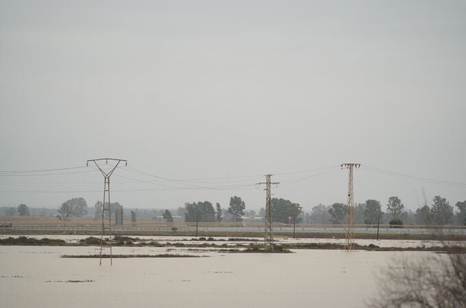 Terrenos anegados en el municipio de Riotinto Terrenos anegados en el municipio de Riotinto