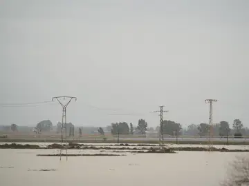 Terrenos anegados en el municipio de Riotinto Terrenos anegados en el municipio de Riotinto
