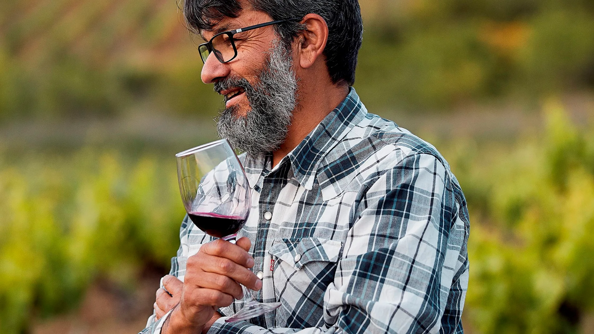 El director enológico de Bodegas Pittacum, Alfredo Marqués,