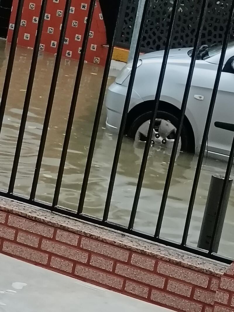 Heliópolis tras las lluvias