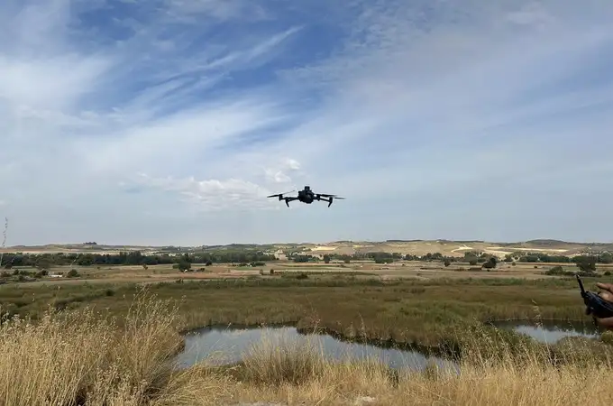 Drones no identificados sobrevuelan un campamento militar en Bélgica Drones no identificados sobrevuelan un campamento militar en Bélgica