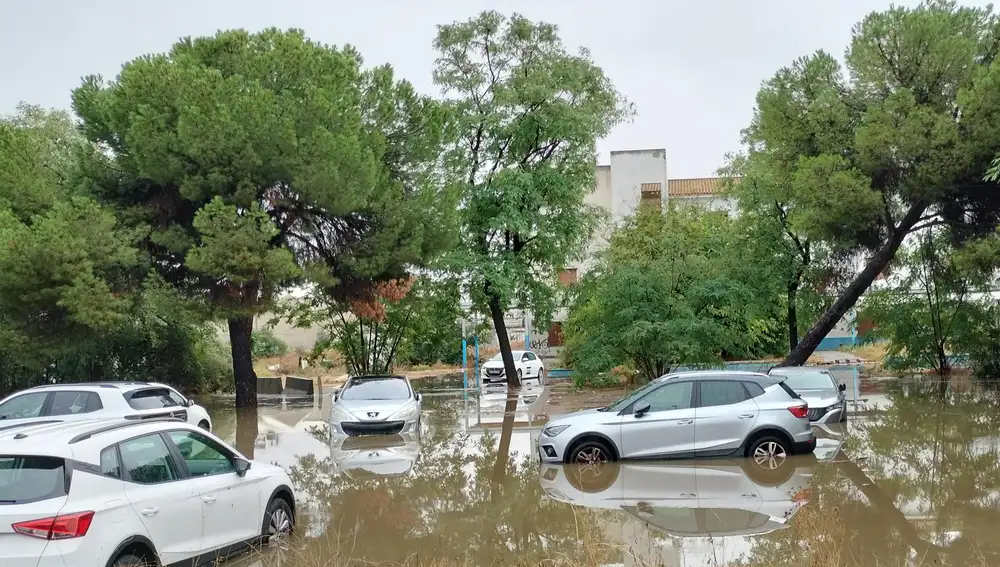 Sucesos.- Más de 1.300 incidencias por lluvias en Andalucía dejan dos heridos en Carmona (Sevilla) y Gibraleón (Huelva)