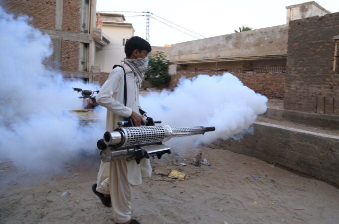 Fumigation to control dengue mosquitos spread in Hyderabad Fumigation to control dengue mosquitos spread in Hyderabad