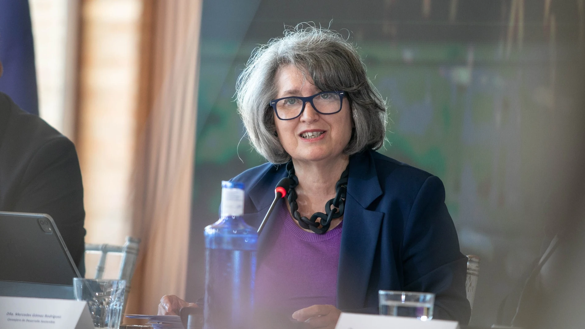 La consejera de Desarrollo Sostenible, Mercedes Gómez