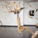 "Suspensión", obra de Patricia Belli