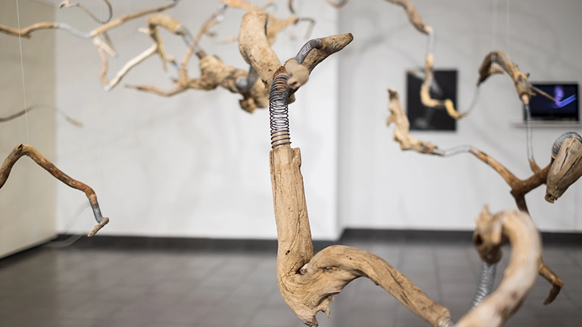 "Suspensión", obra de Patricia Belli