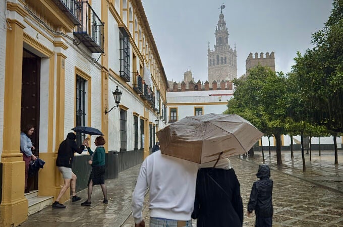 Sevilla en estos días de otoño Sevilla en estos días de otoño