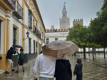 Sevilla en estos días de otoño GRAFAND1471. SEVILLA, 29/10/2025.- Varias personas se resguardan de la lluvia por una calle de Sevilla.El servicio Emergencias 112 de Andalucía ha atendido ya medio millar de incidencias (502) relacionadas con el Fenómeno Meteorológico Adverso (FMA) de lluvias y tormentas que afecta especialmente a las provincias de Huelva y Sevilla y a la zona más occidental de la región andaluza. EFE/ José Manuel Vidal