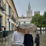 Sevilla en estos días de otoño