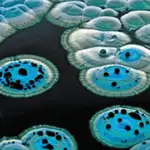 Diferentes etapas de las moléculas en un antibiótico