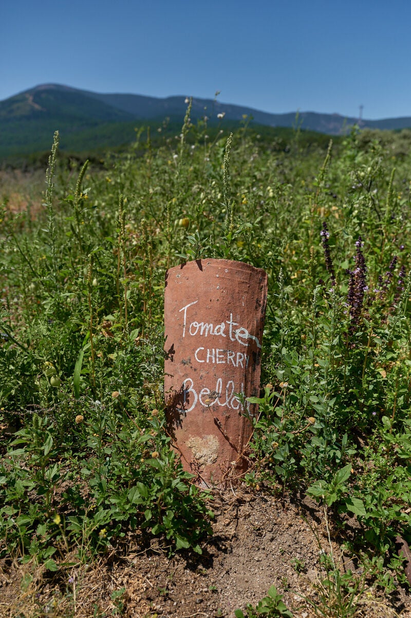 En el Agrolab trabajan en recuperar semillas autóctonas