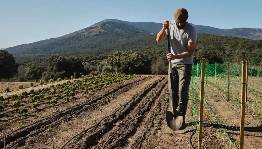 En colaboración con IMIDRA, han puesto en marcha un Agrolab de 1.300 metros cuadrados