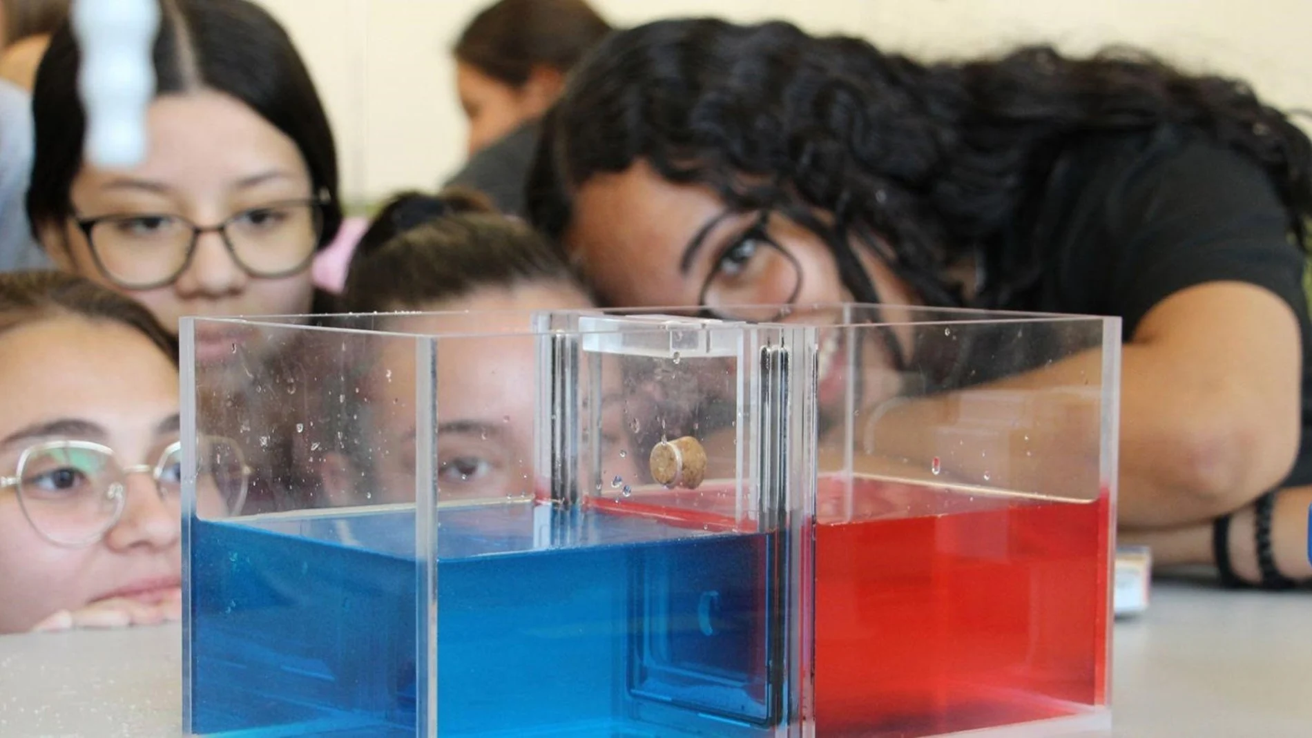 La Sanidad Pública Madrileña celebra la Semana de la Ciencia y la Innovación con más de 80 actividades