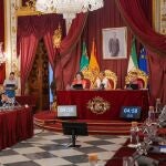 Pleno de la Diputación de Cádiz, presidido por Almudena Martínez del Junco