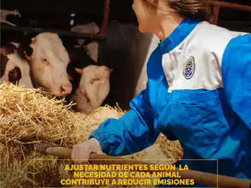 La misión especial del vacuno en la transición ecológica de Europa La misión especial del vacuno en la transición ecológica de Europa