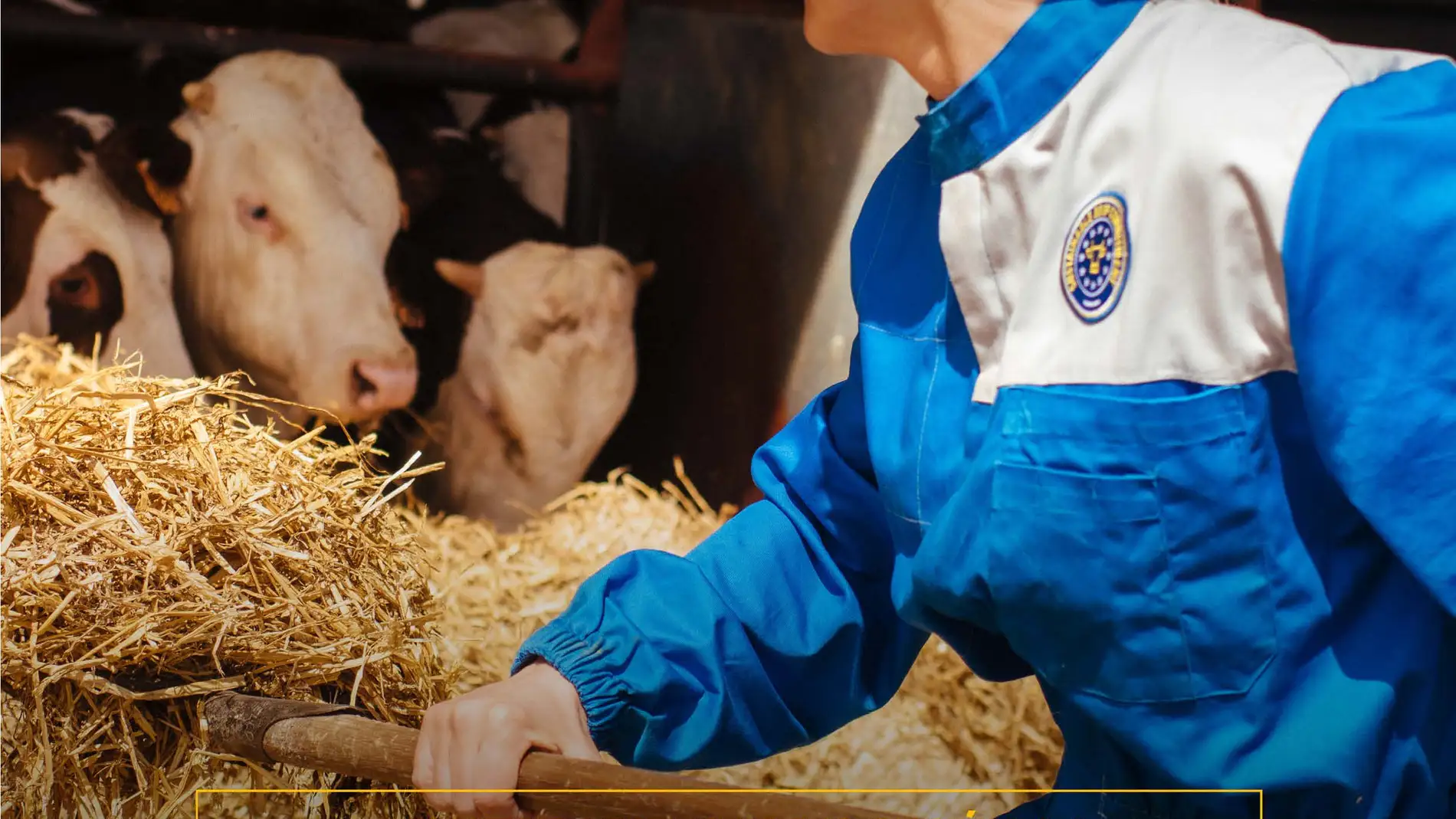 La misión especial del vacuno en la transición ecológica de Europa