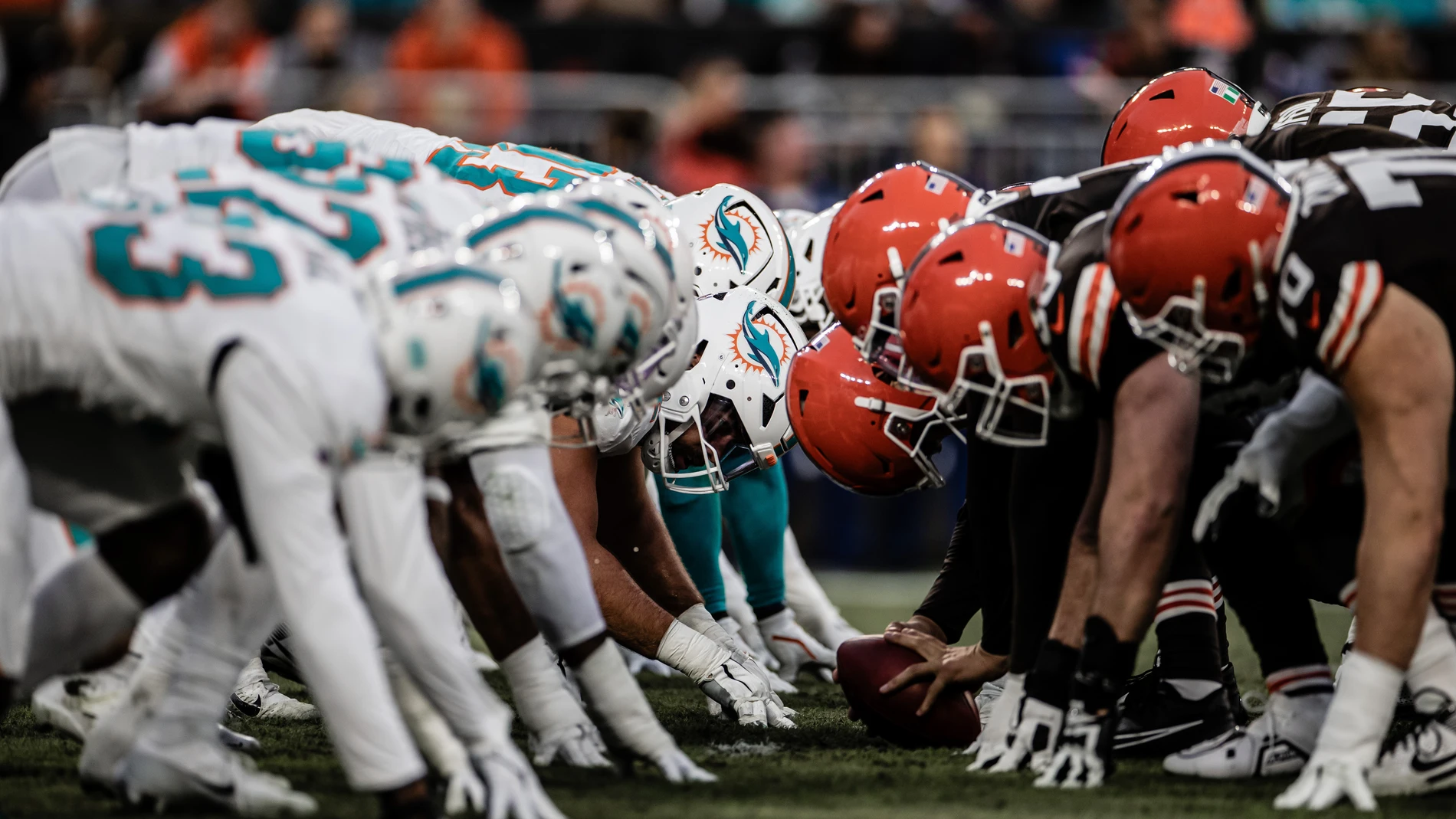 Los Miami Dolphins aterrizan en Madrid de la mano de Banco Santander