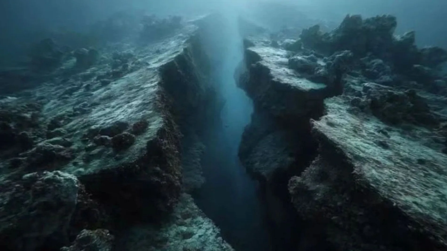 Científicos captan por primera vez la ruptura de una placa tectónica bajo el océano