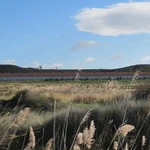 Agricultura simplifica la gestión de estiércoles y adapta los plazos a las necesidades del sector ganadero