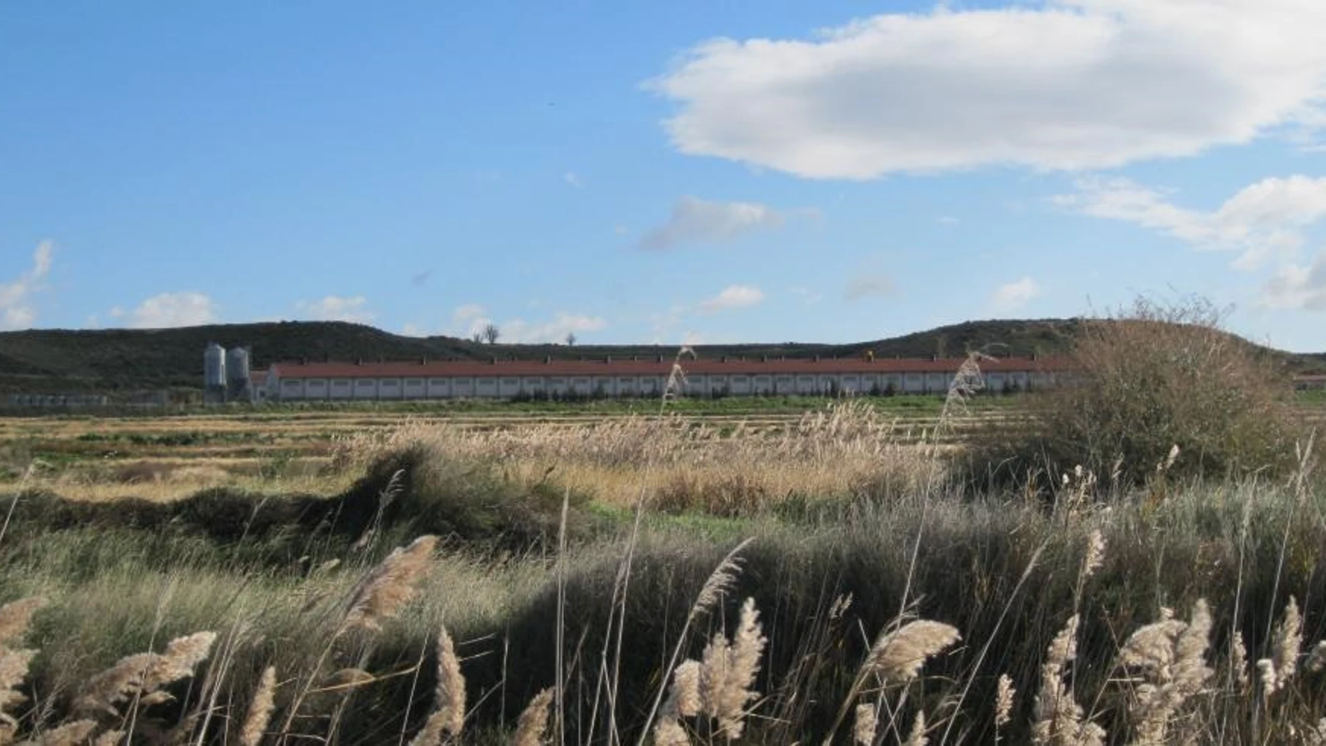 Se modifica el periodo de declaración de la gestión de estiércoles, que pasará a realizarse entre el 1 de julio y el 31 de octubre de cada año. REMITIDA / HANDOUT por GOBIERNO DE ARAGÓN Fotografía remitida a medios de comunicación exclusivamente para ilustrar la noticia a la que hace referencia la imagen, y citando la procedencia de la imagen en la firma 07/11/2025