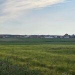 Imagen de la localidad salmantina de Pelabravo Imagen de la localidad salmantina de Pelabravo