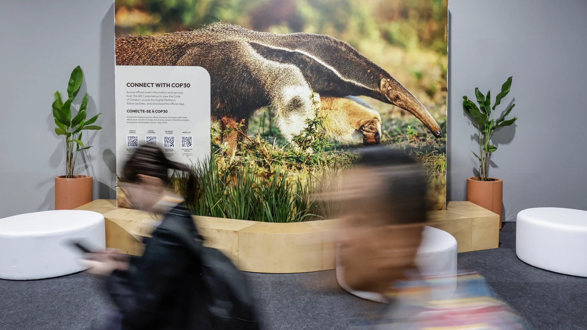 AME6704. BELÉM (BRASIL), 09/11/2025.- Personas caminan al interior del Centro de Convenciones Hangar donde se realiza la cumbre de líderes COP30 este viernes, en Belém (Brasil). La trigésima cumbre climática de la ONU (COP30) empieza oficialmente este lunes en la ciudad de Belém, en la Amazonía brasileña, con una larga lista de tareas pendientes y la misión de poner freno a la creciente ola de negacionismo. EFE/ André Coelho