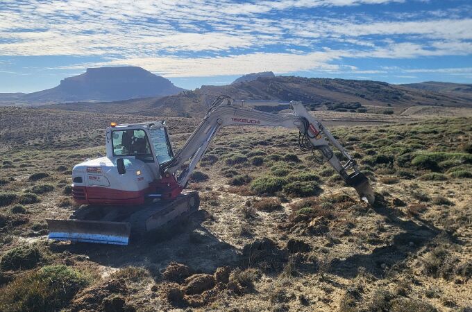 Plantación de Cercas Verdes en el Geoparque Las Loras