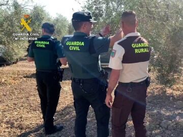 Un momento de la operación de la Guardia Civil