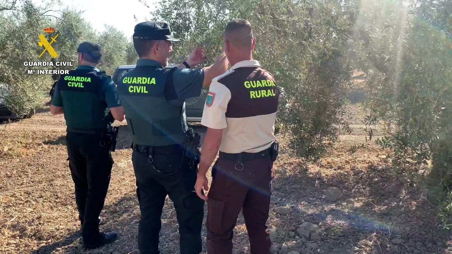 Un momento de la operación de la Guardia Civil