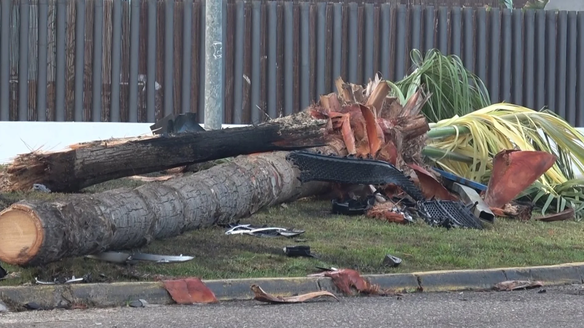 Así ha quedado el lugar del accidente de Cayetano Rivera: restos y palmeras derribadas tras dar positivo en alcoholemia