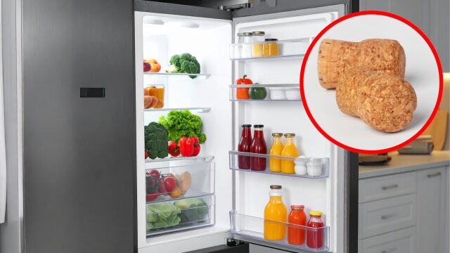 Para que sirve poner un corcho en la nevera: el truco para ahorrar energía Para que sirve poner un corcho en la nevera: el truco para ahorrar energía