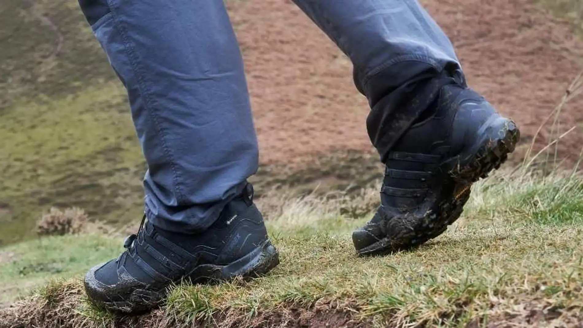 adidas Terrex Swift R2 GTX