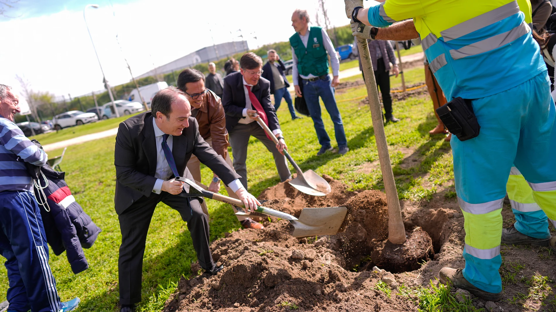 Carabante, en una plantación de árboles en la Dehesa Boyal