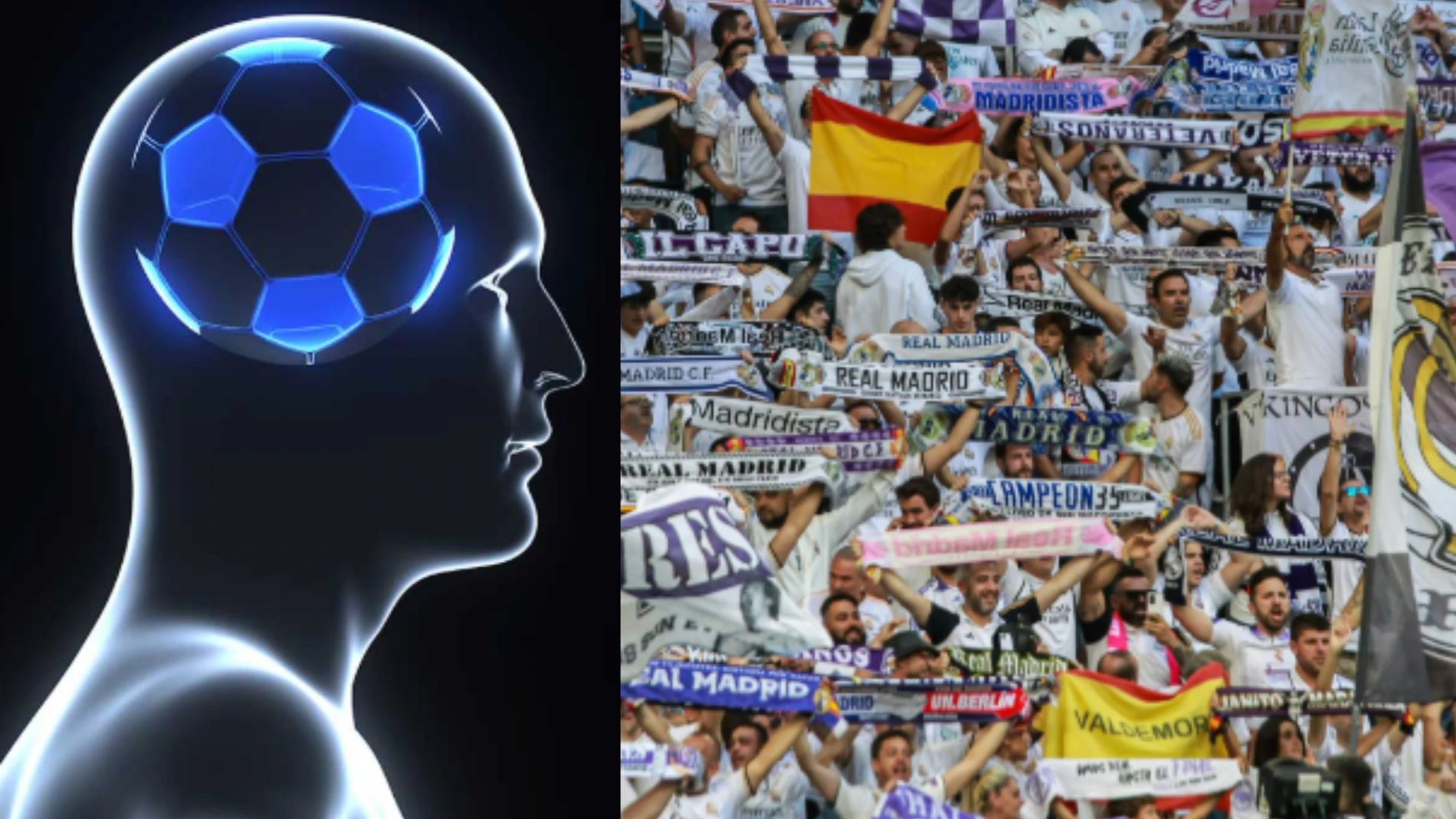 Cuando el futbol se mete en la cabeza: la ciencia revela lo cambios cerebrales si tu equipo gana o pierde