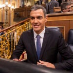 Pedro Sánchez en el Congreso de los Diputados
