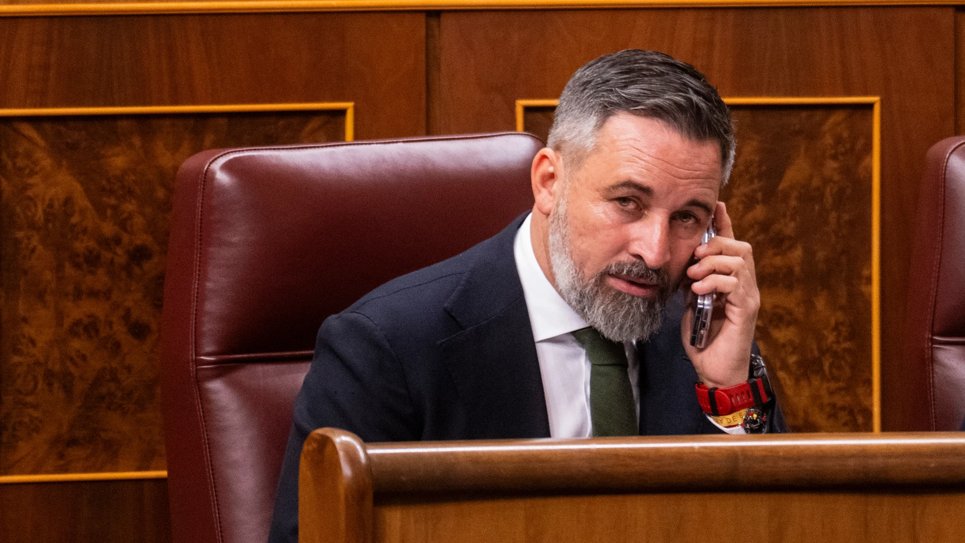 Abascal en el Congreso de los Diputados