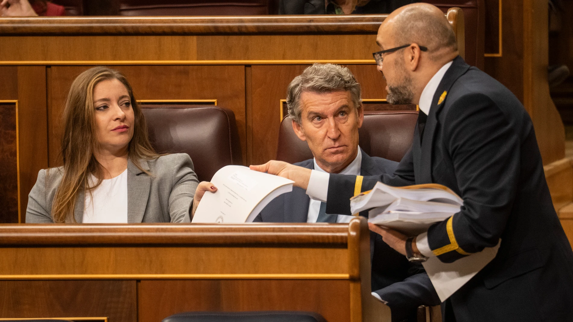 Feijóo en el Congreso de los Diputados