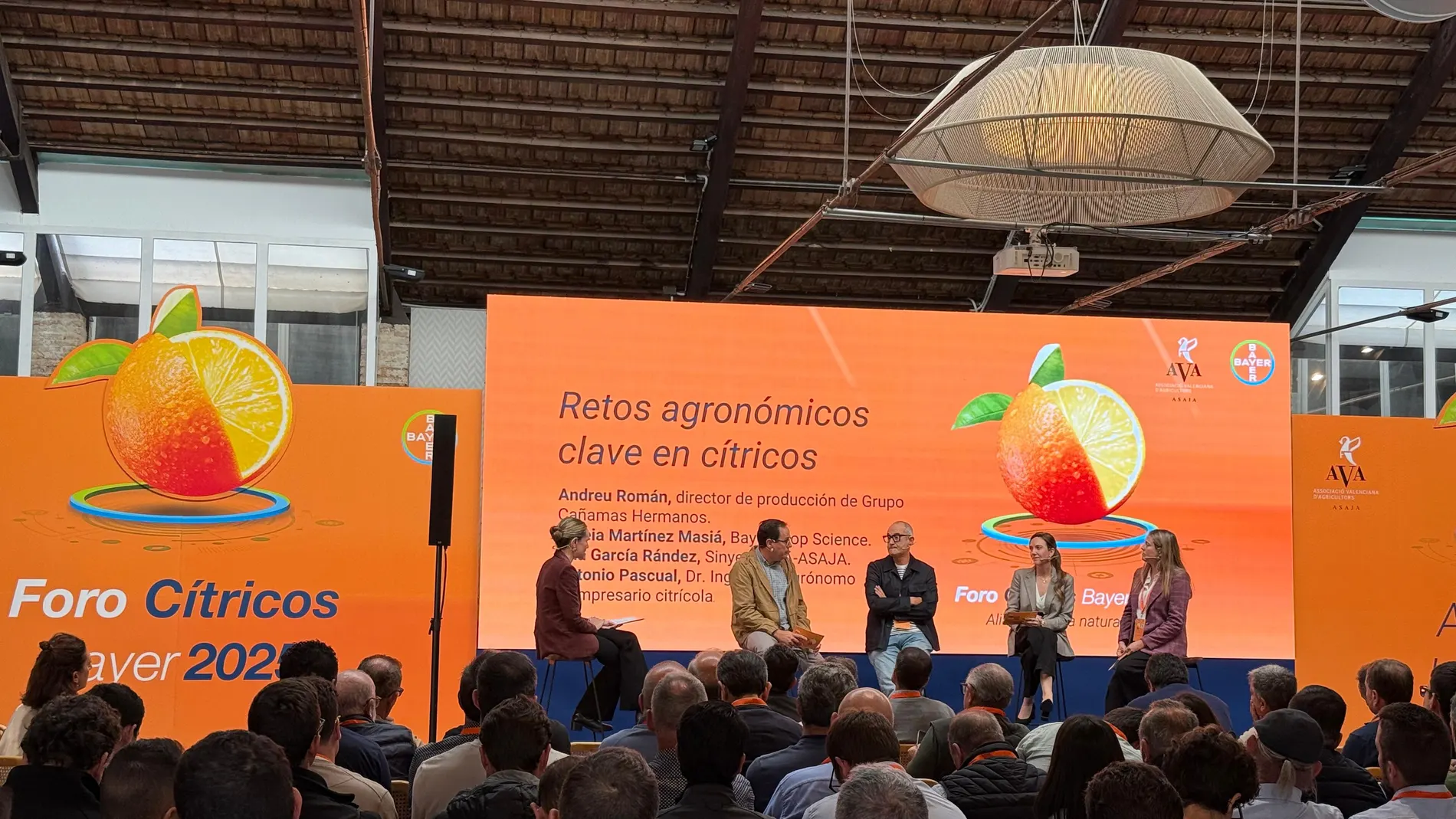 Los cítricos valencianos, ante un reto mayúsculo: en once años ha caído un 50% el consumo de naranjas