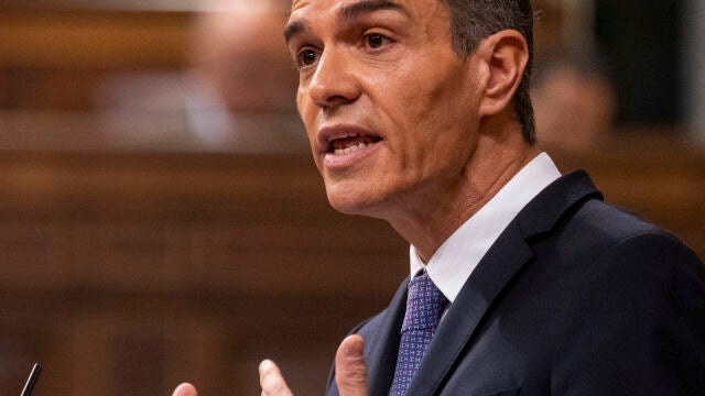 Pedro Sánchez en el Congreso de los Diputados. David Jar Pedro Sánchez en el Congreso de los Diputados. David Jar