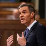 Pedro Sánchez en el Congreso de los Diputados. David Jar