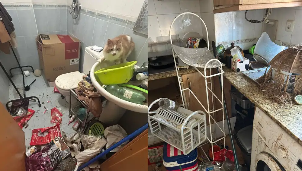 Así se encontro Kathy su casa tras recuperarla cinco años después