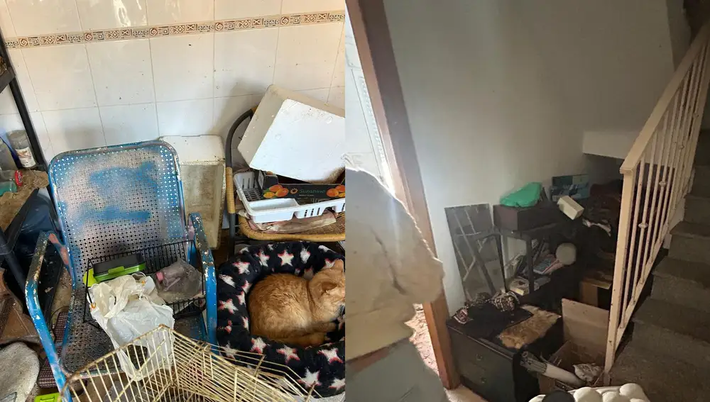 Así se encontro Kathy su casa tras recuperarla