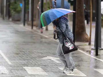 Una persona se resguarda con un paraguas de la lluvia y el viento GRAFAND1846. HUELVA, 13/11/2025.-Una persona se resguarda con un paraguas de la lluvia y el viento este jueves en Huelva cuando la AEMET ha activado el aviso naranja en la provincia onubense ante la previsión de que se registren chubascos localmente fuertes y persistentes, acompañados de tormentas y rachas de viento muy fuertes, una situación que mantiene en aviso amarillo a zonas de Almería, Cádiz, Córdoba, Granada, Huelva y Sevilla. EFE/Alberto Díaz