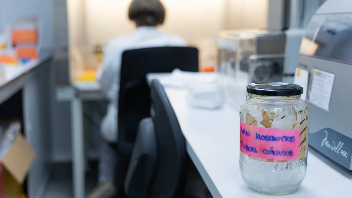 Primera muerte por virus del Nilo en Andalucía: fallece un hombre de Dos Hermanas en el hospital