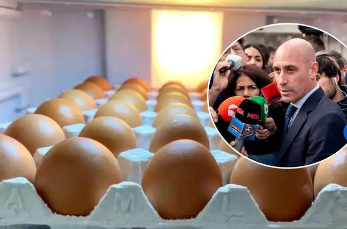 Huevos como arma de protesta: por qué se siguen tirando pese a lo caros que están Huevos como arma de protesta: por qué se siguen tirando pese a lo caros que están