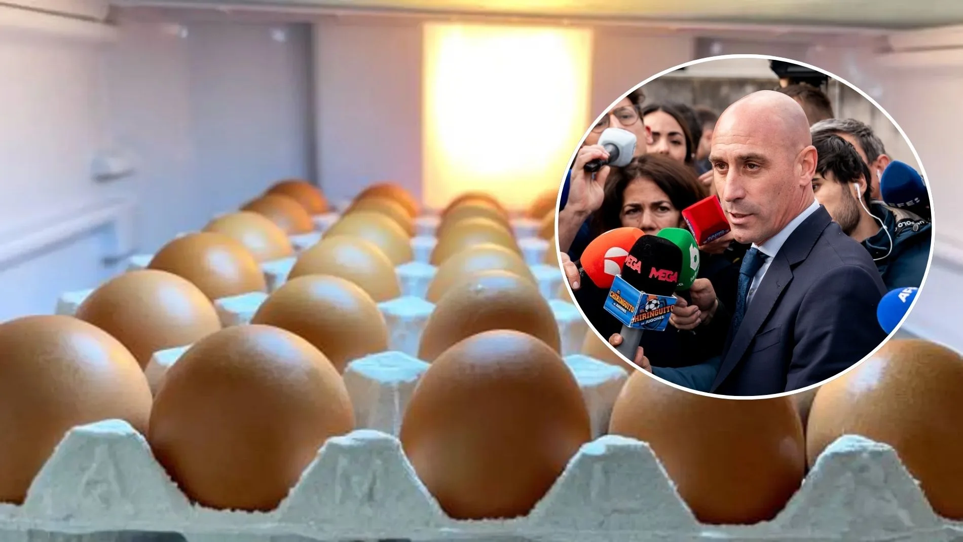 Huevos como arma de protesta: por qué se siguen tirando pese a lo caros que están